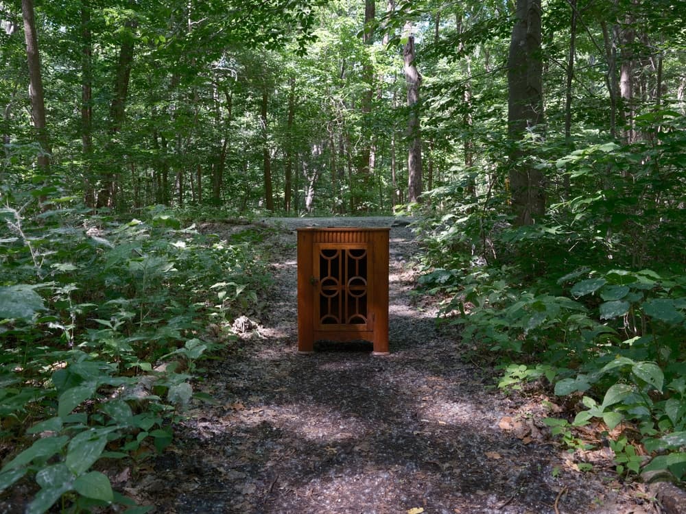 Mix film festival laval ( MFFL) séance 26 octobre à 16h30 image 2