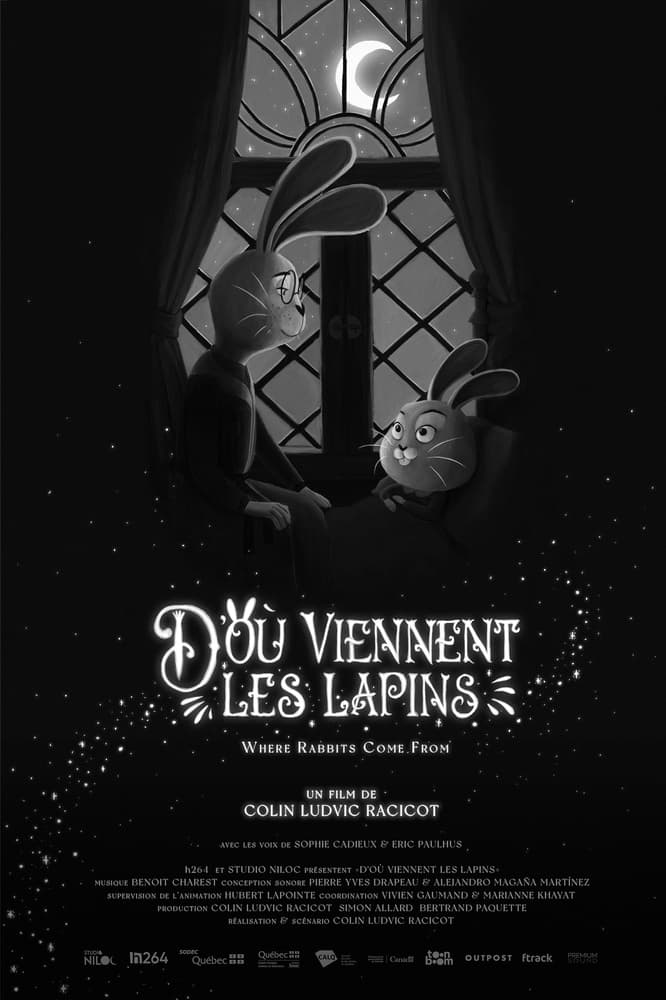 Mix film festival laval ( MFFL) séance 25 octobre à 17h00 image 2